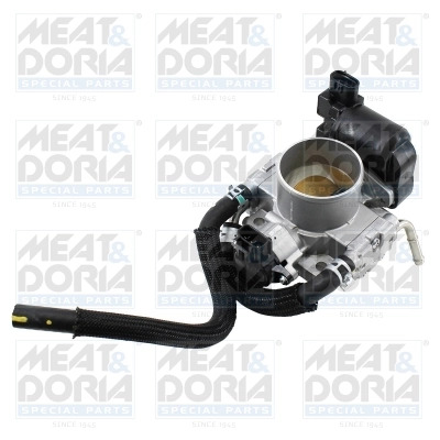 Throttle Body